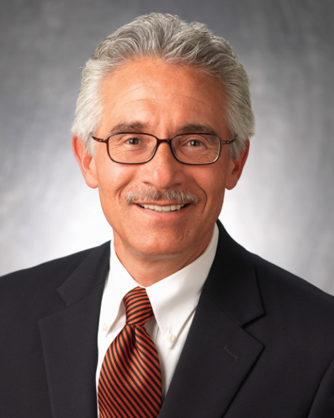 David R. Ayón - Forging Latino Power 1